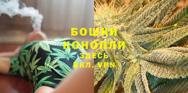 стафф Бронницы