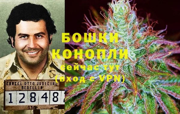 стафф Бронницы