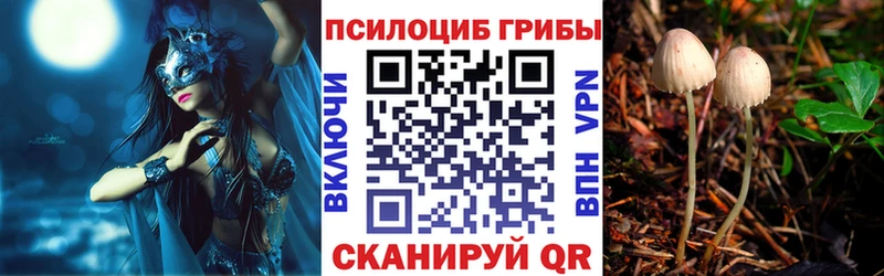 мориарти официальный сайт  где купить наркоту  Миасс  Псилоцибиновые грибы мухоморы 